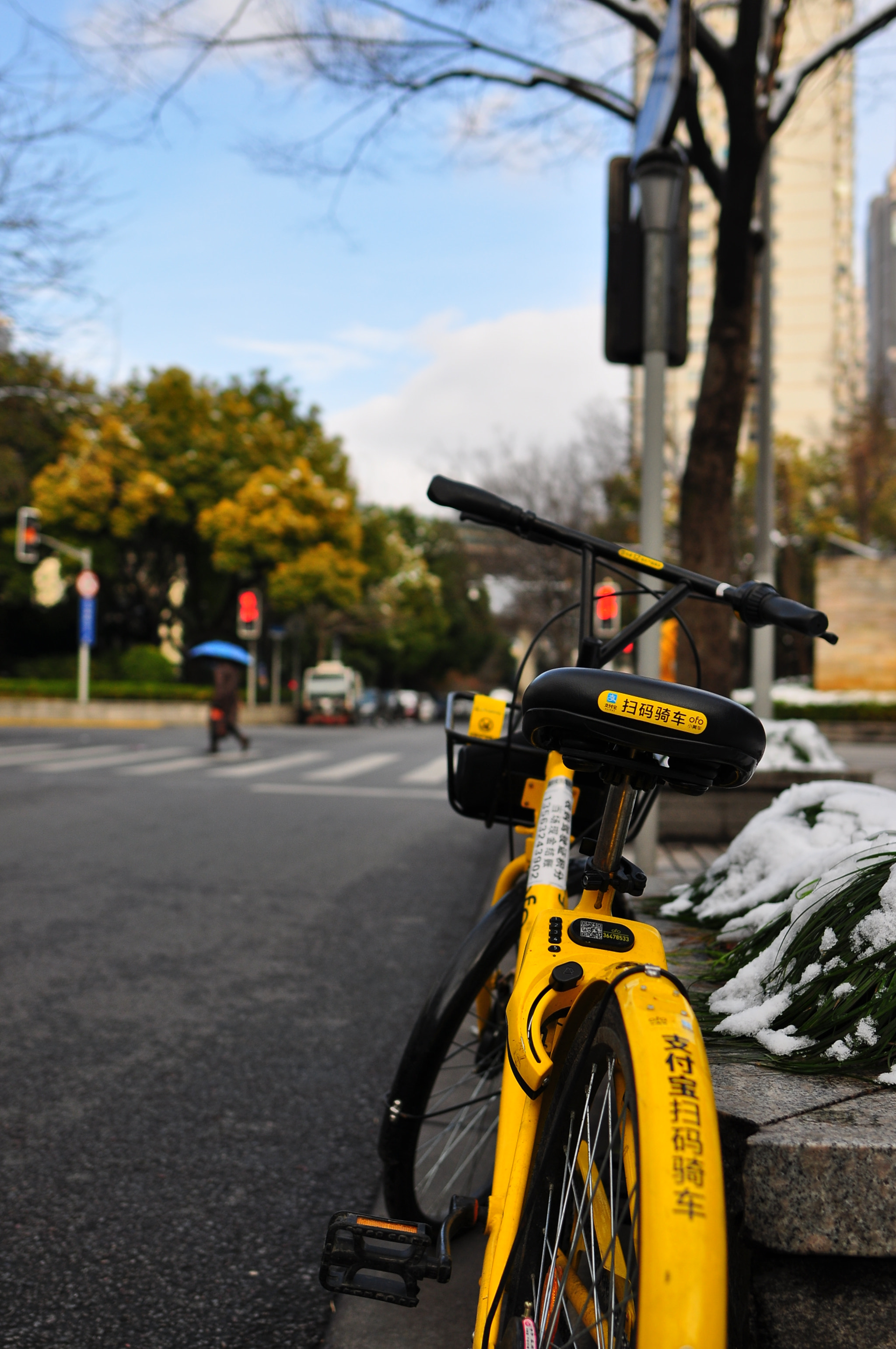 Nikon AF-S Nikkor 24mm F1.8G ED sample photo. Riding across shanghai photography