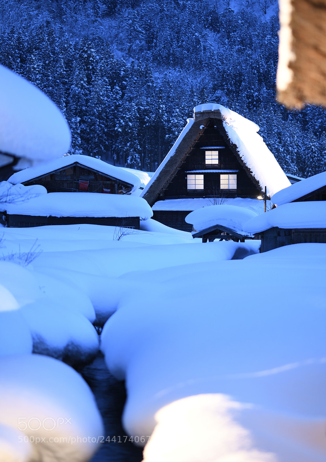 Nikon D850 sample photo. Deep snow photography
