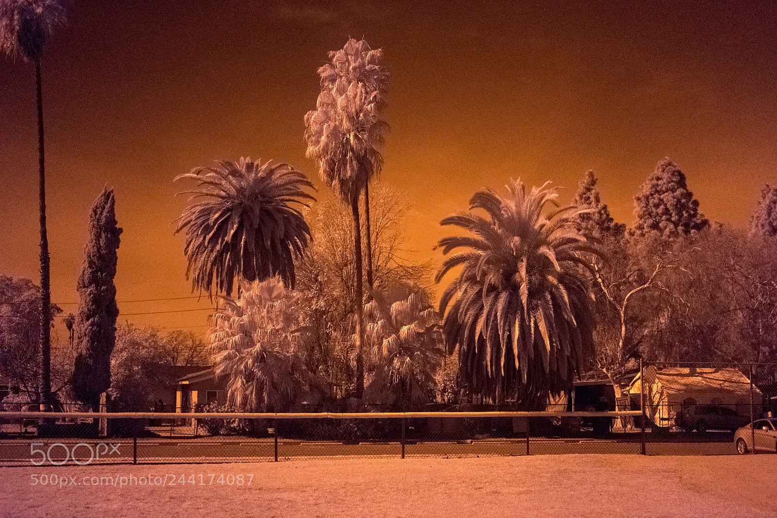 Fujifilm X-T2 sample photo. Ir photography