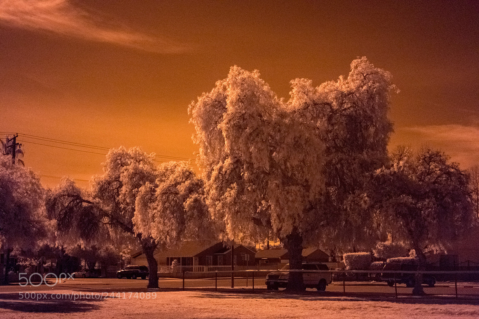 Fujifilm X-T2 sample photo. Ir photography