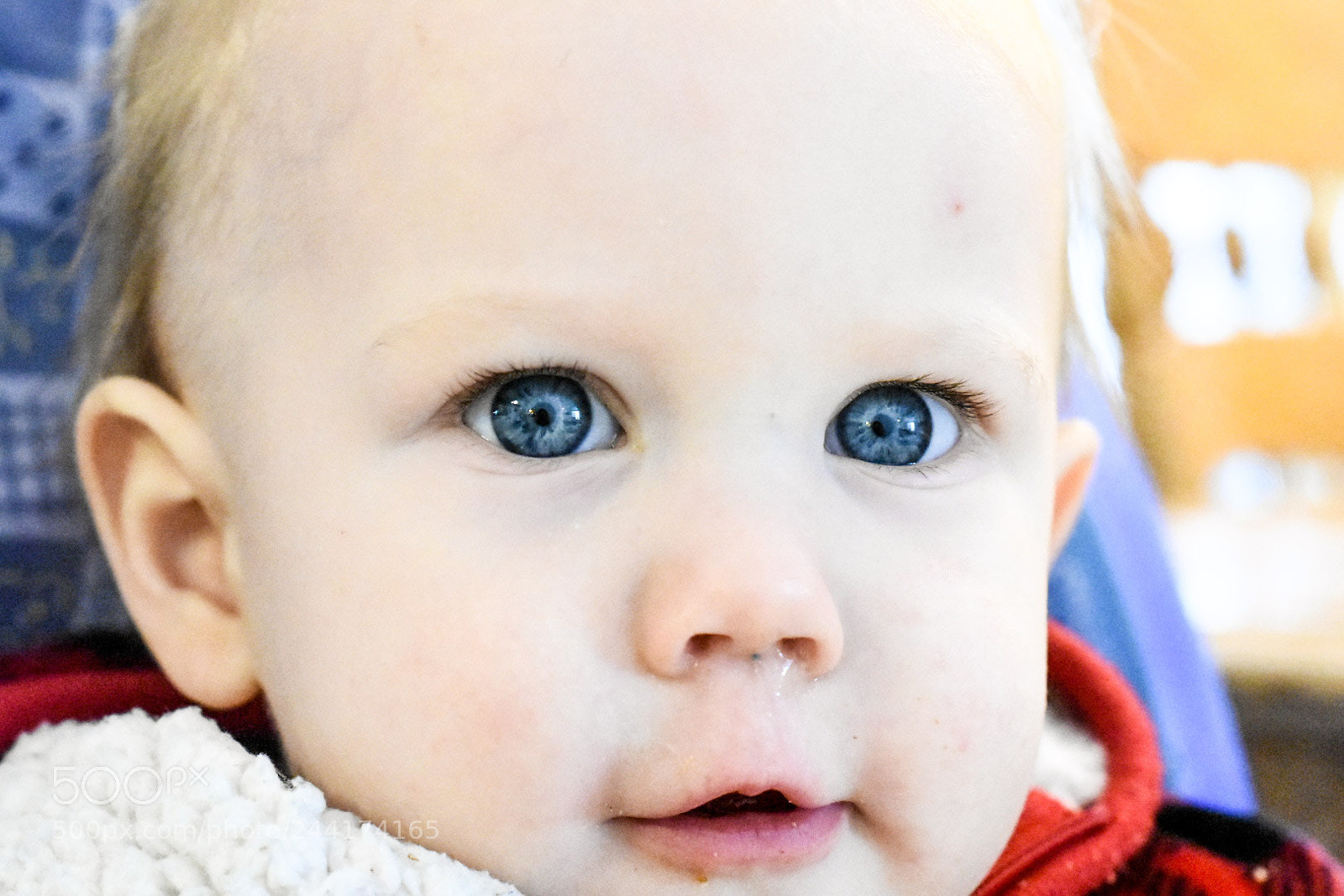 Nikon D7200 sample photo. My little nephew photography