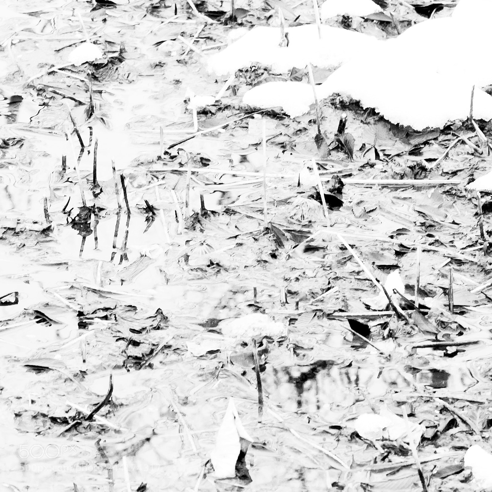 Nikon D610 sample photo. Winter 3 photography