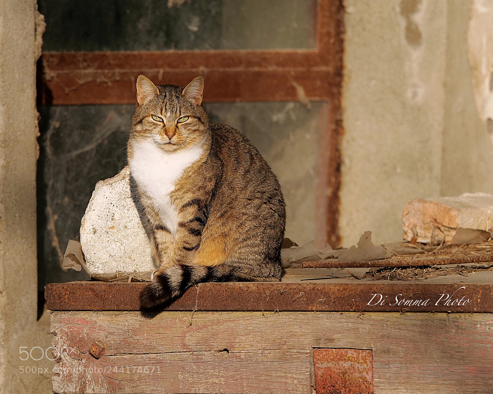 Panasonic Lumix DC-G9 sample photo. Il dolce far niente photography