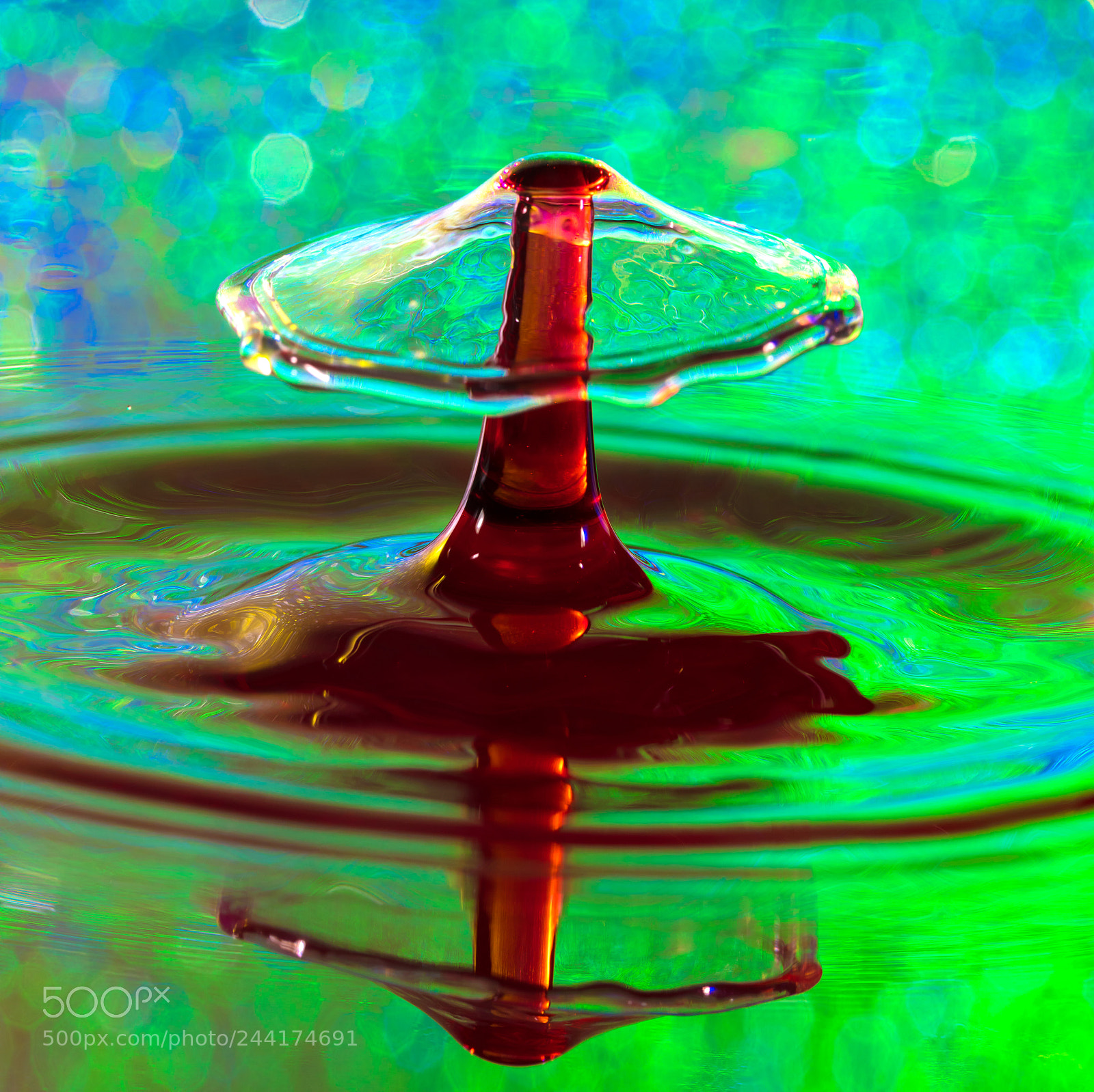 Canon EOS 5DS R sample photo. Untitled photography
