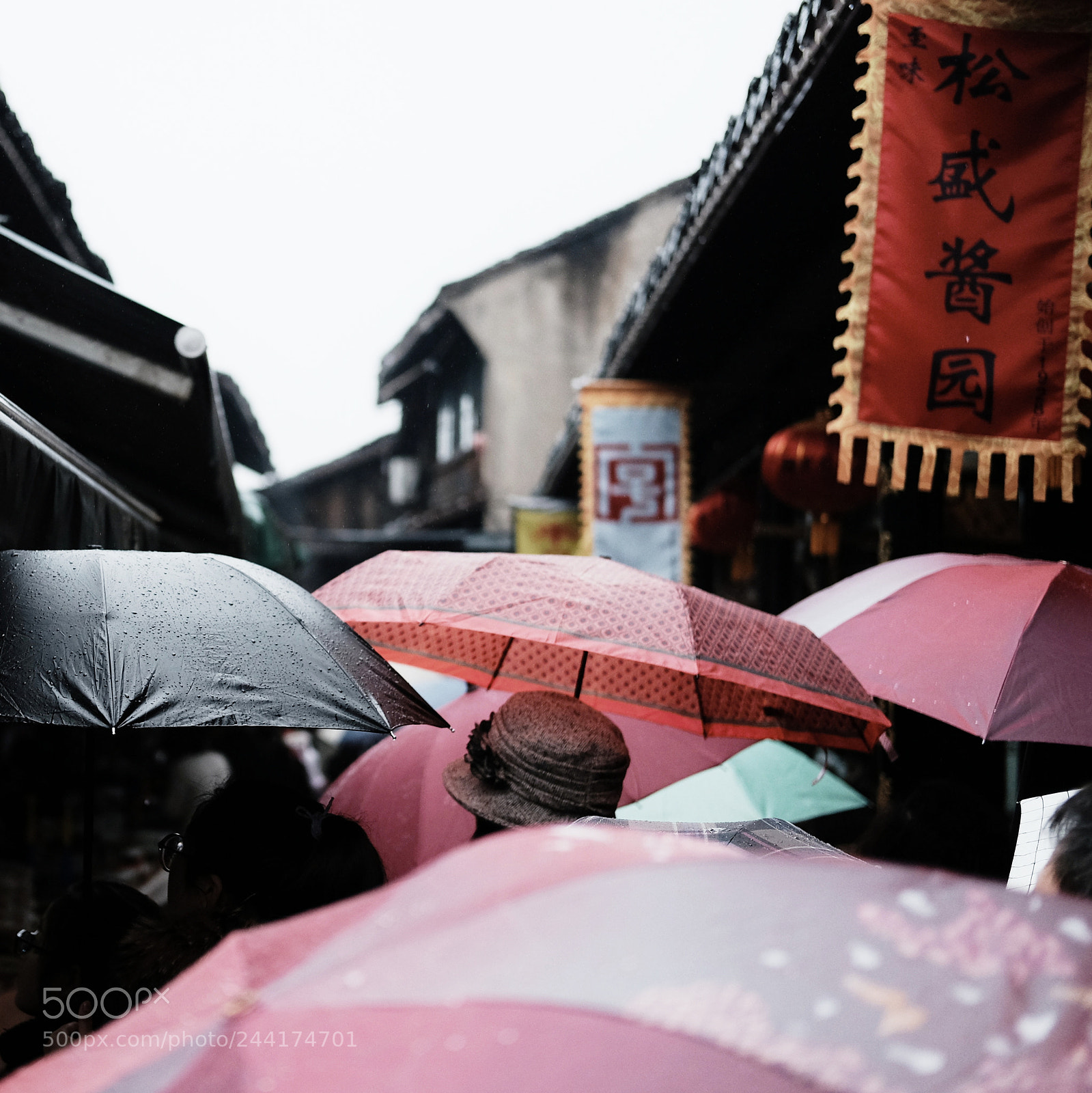 Fujifilm X-T10 sample photo. Untitled photography