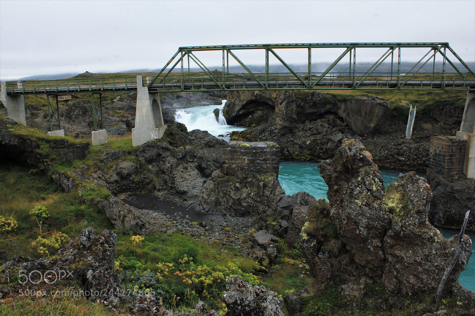 Canon EOS 550D (EOS Rebel T2i / EOS Kiss X4) sample photo. Bridge photography