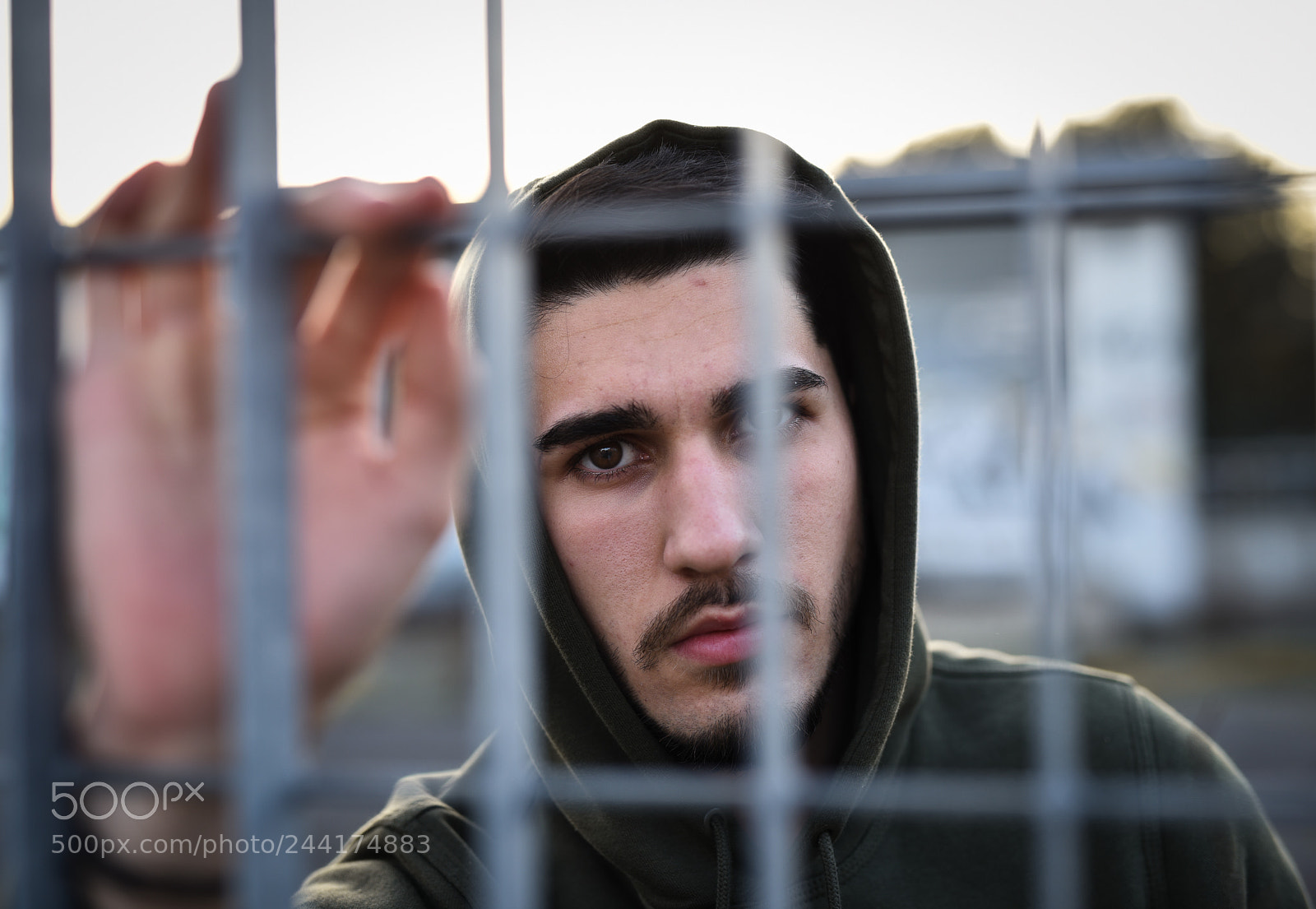 Nikon D810 sample photo. Untitled photography