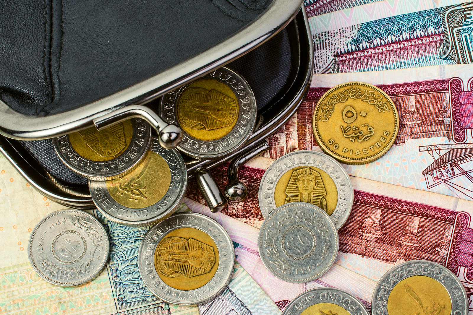 Nikon D5100 sample photo. Egyptian pounds in a photography