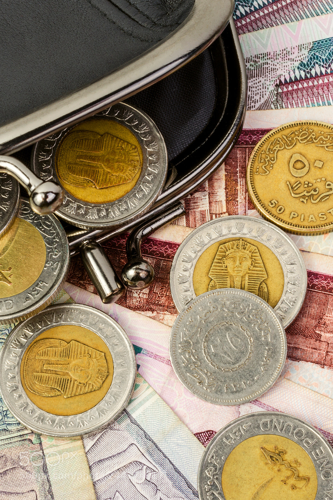 Nikon D5100 sample photo. Egyptian pounds in a photography
