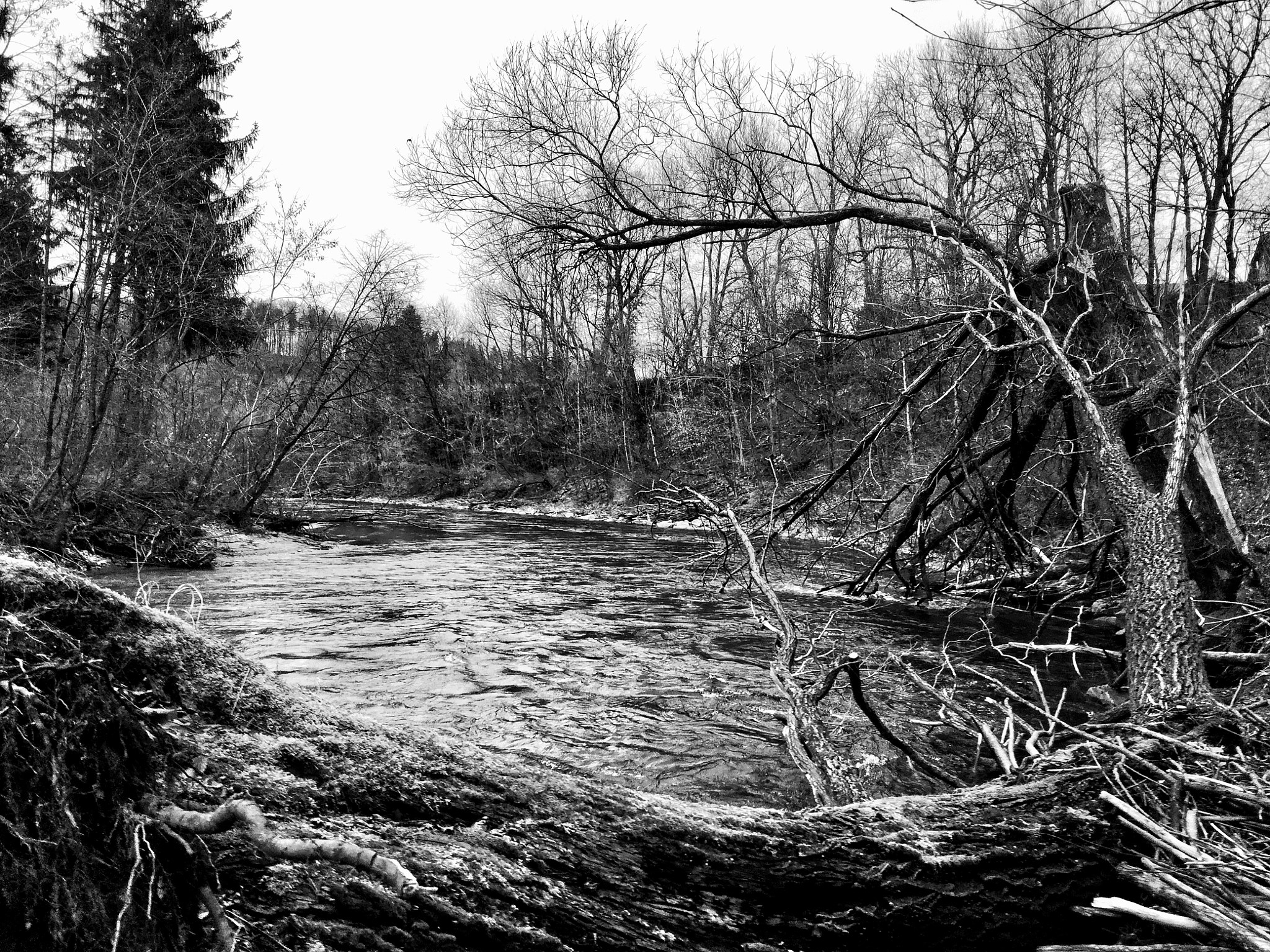 HUAWEI Honor 5C sample photo. Fallen trew photography
