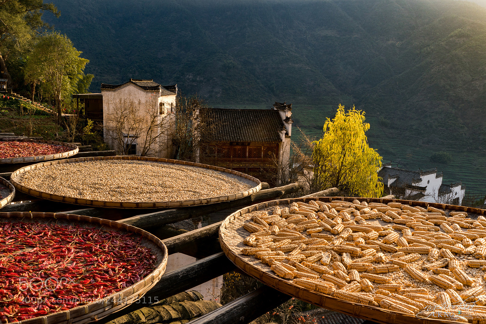 Sony a9 sample photo. Traditional farmer ii huangling photography