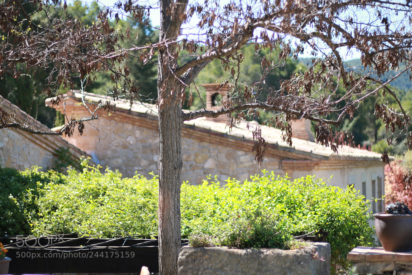 Canon EOS 70D + Canon EF 50mm F1.8 STM sample photo. Img photography