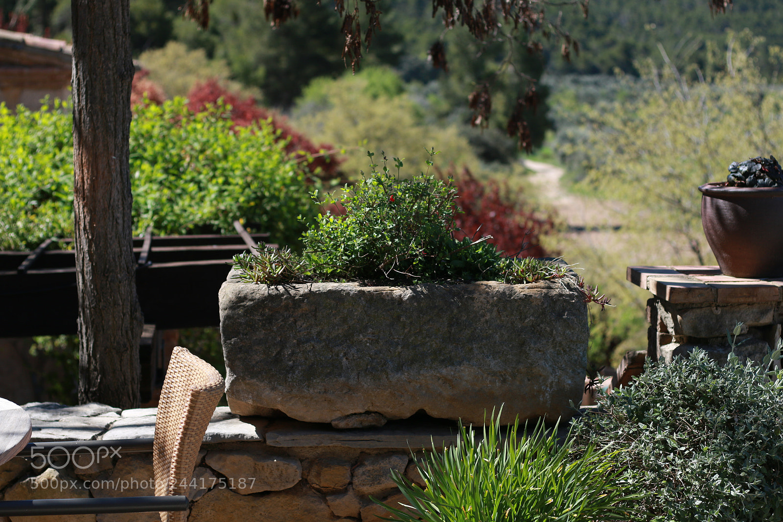 Canon EOS 70D + Canon EF 50mm F1.8 STM sample photo. Img photography
