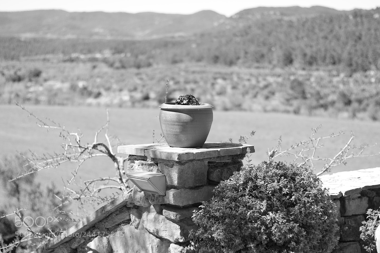 Canon EOS 70D + Canon EF 50mm F1.8 STM sample photo. Img photography
