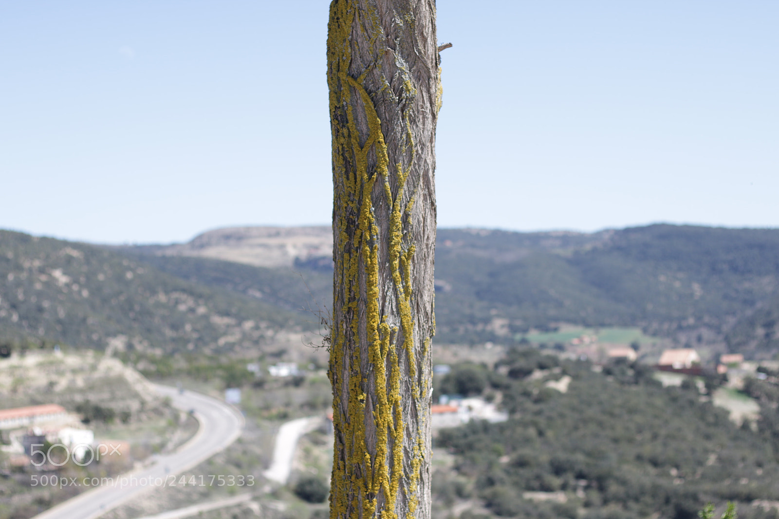 Canon EOS 70D + Canon EF 50mm F1.8 STM sample photo. Img photography