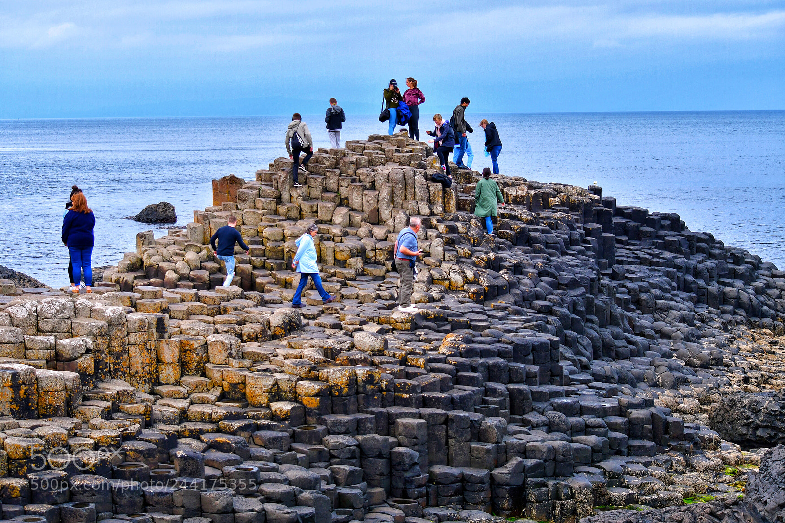 Nikon D500 sample photo. Giant’s causeway photography
