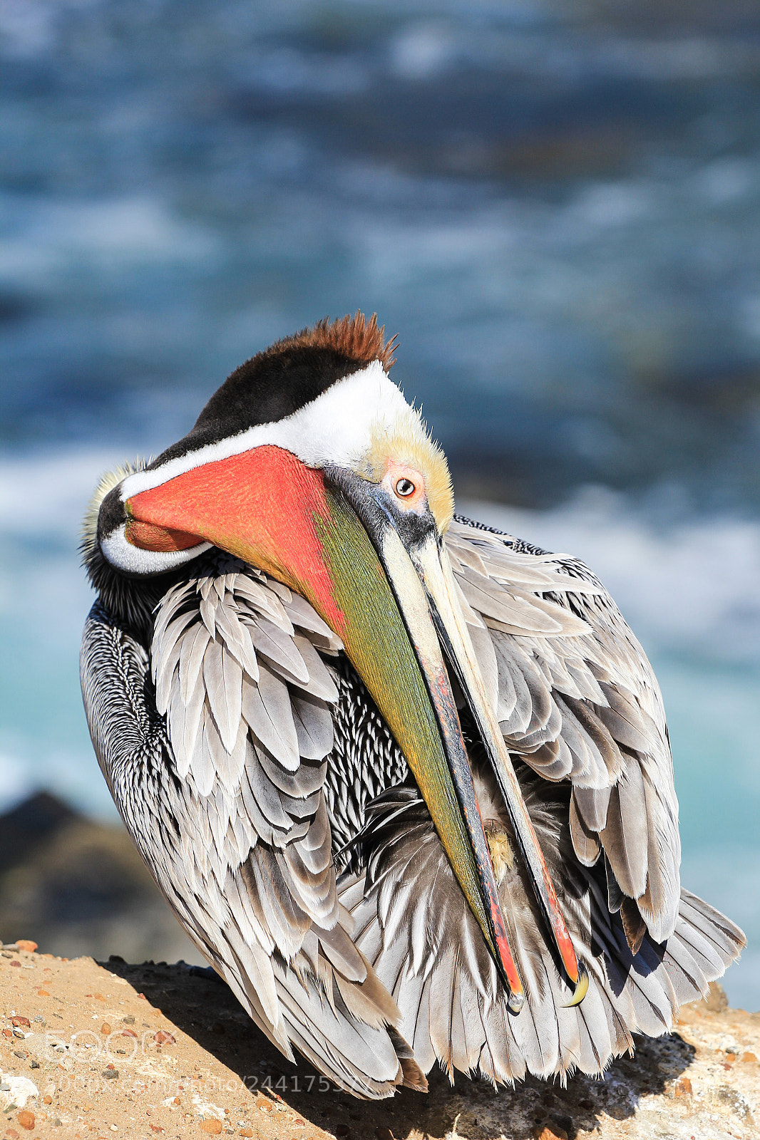 Canon EOS 60D sample photo. Edited photography