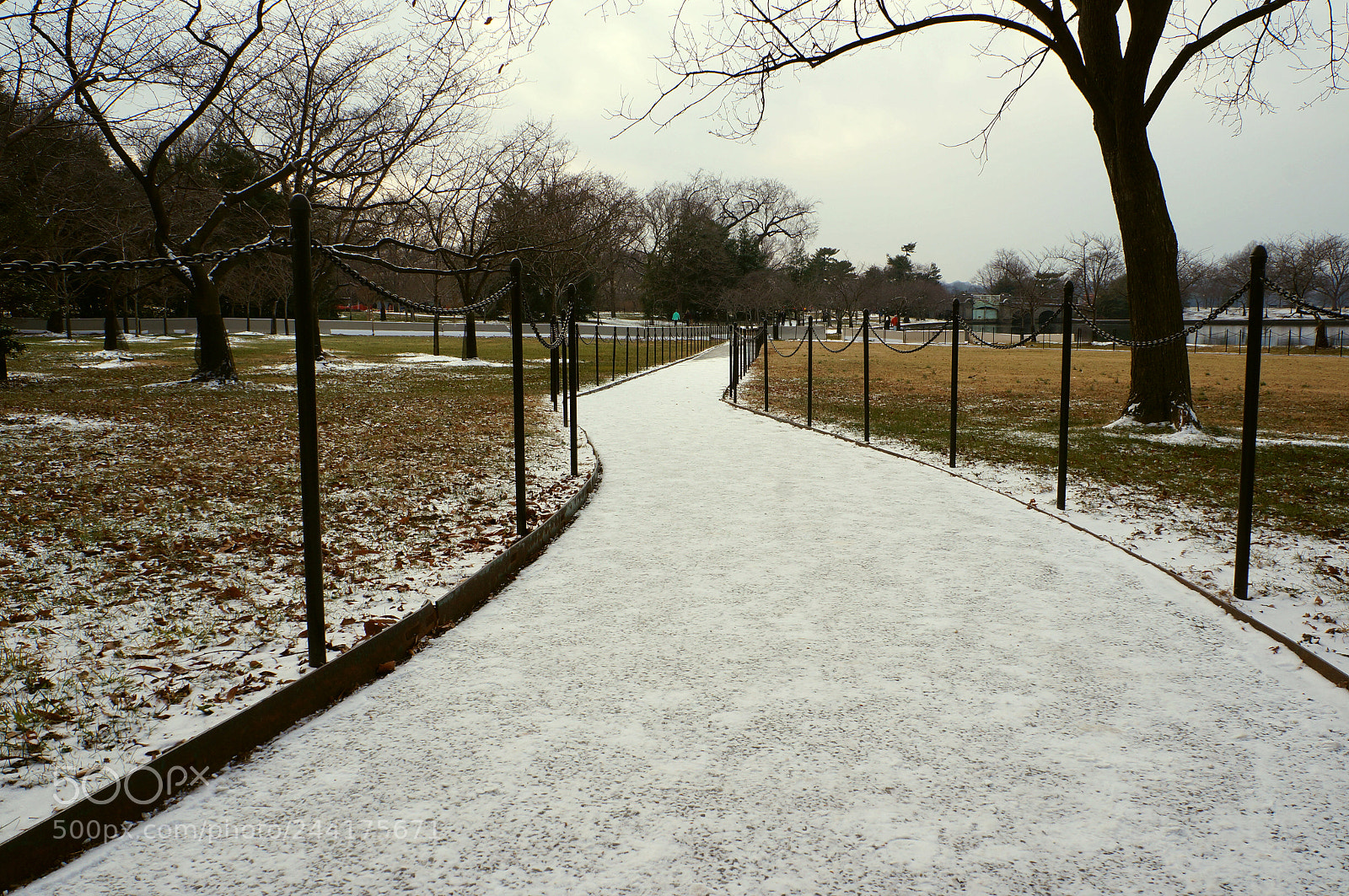 Sony Alpha NEX-F3 sample photo. Path of snow photography