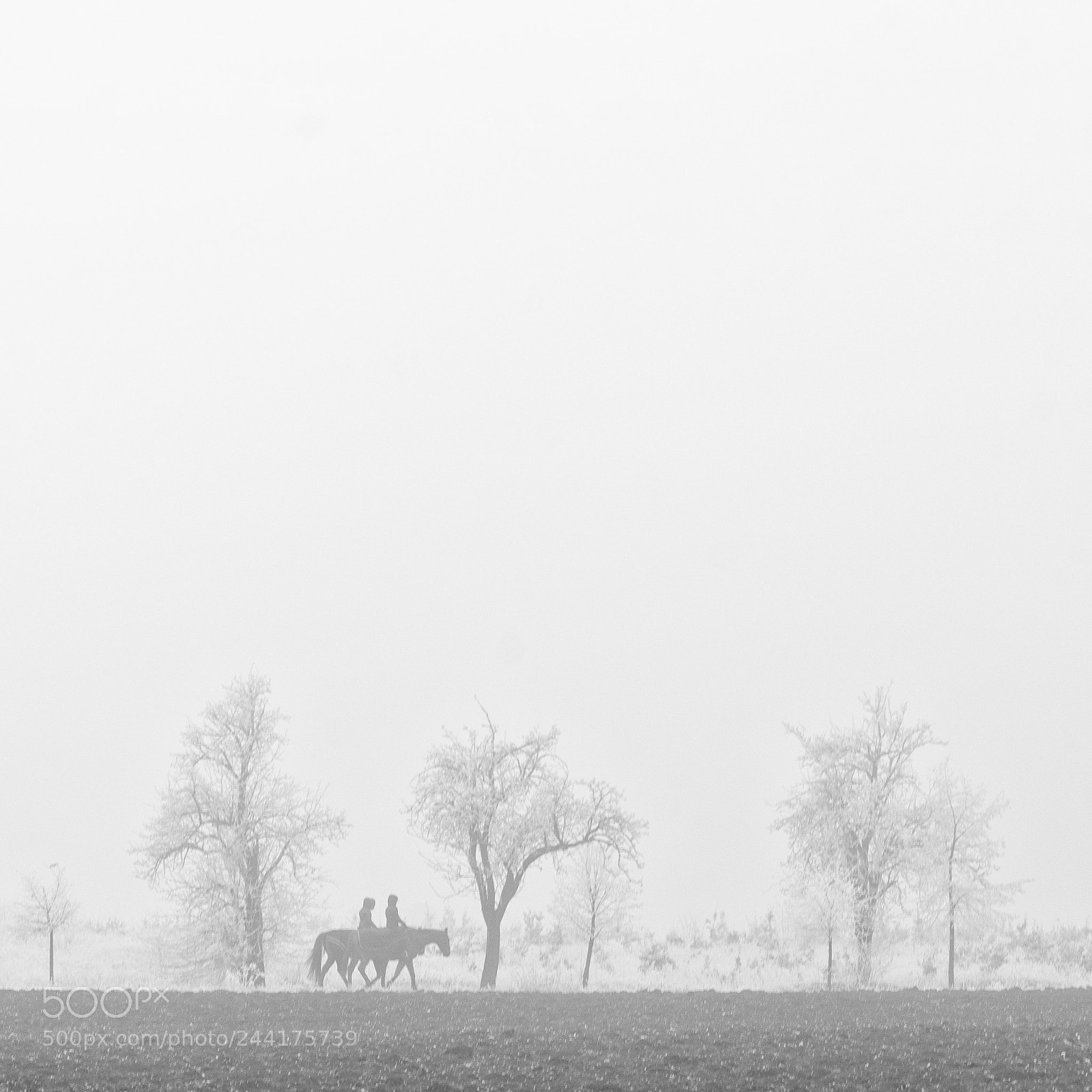 Nikon D600 sample photo. Two lonely horsemen in photography