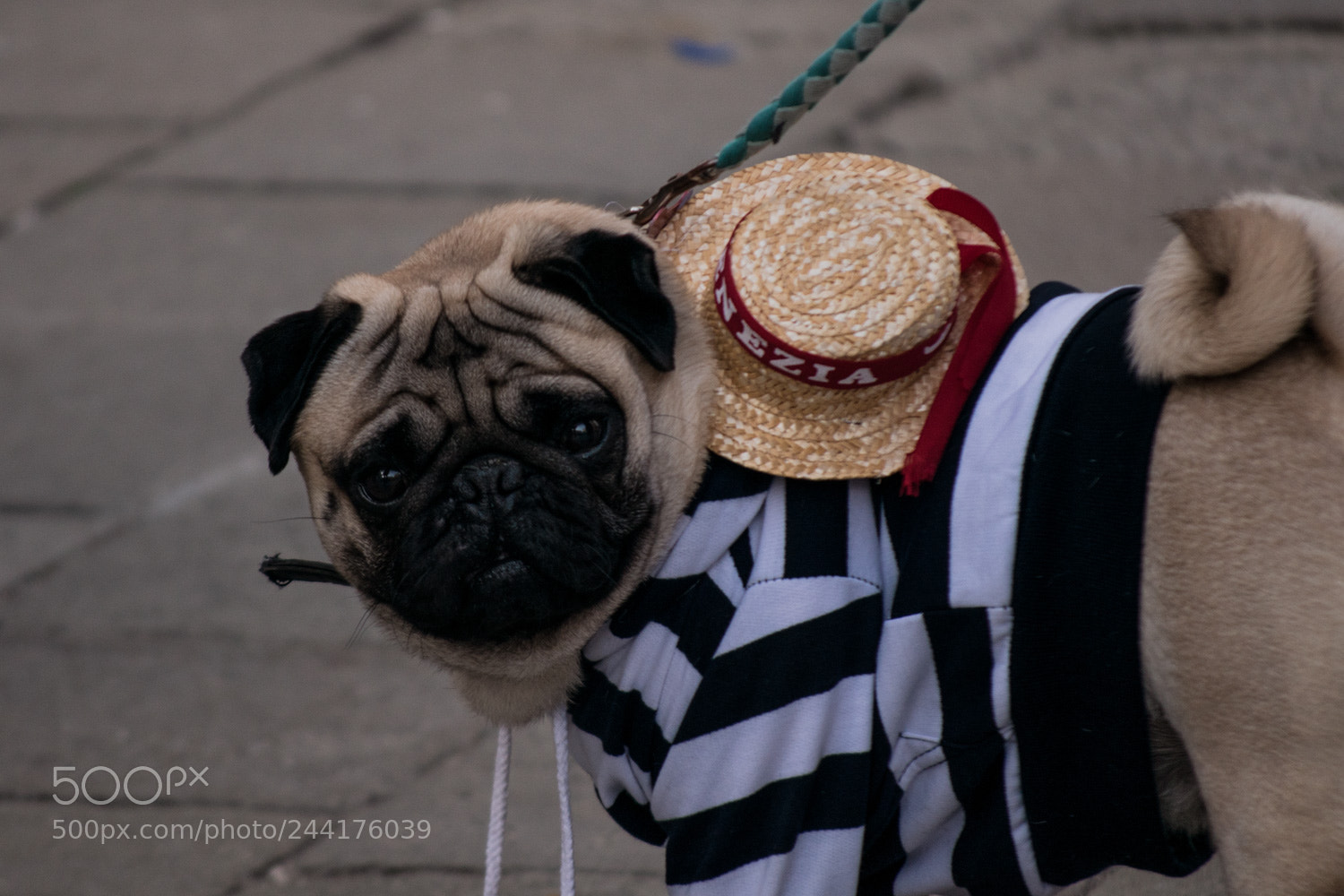 Nikon D5500 sample photo. Carnevale a venezia photography