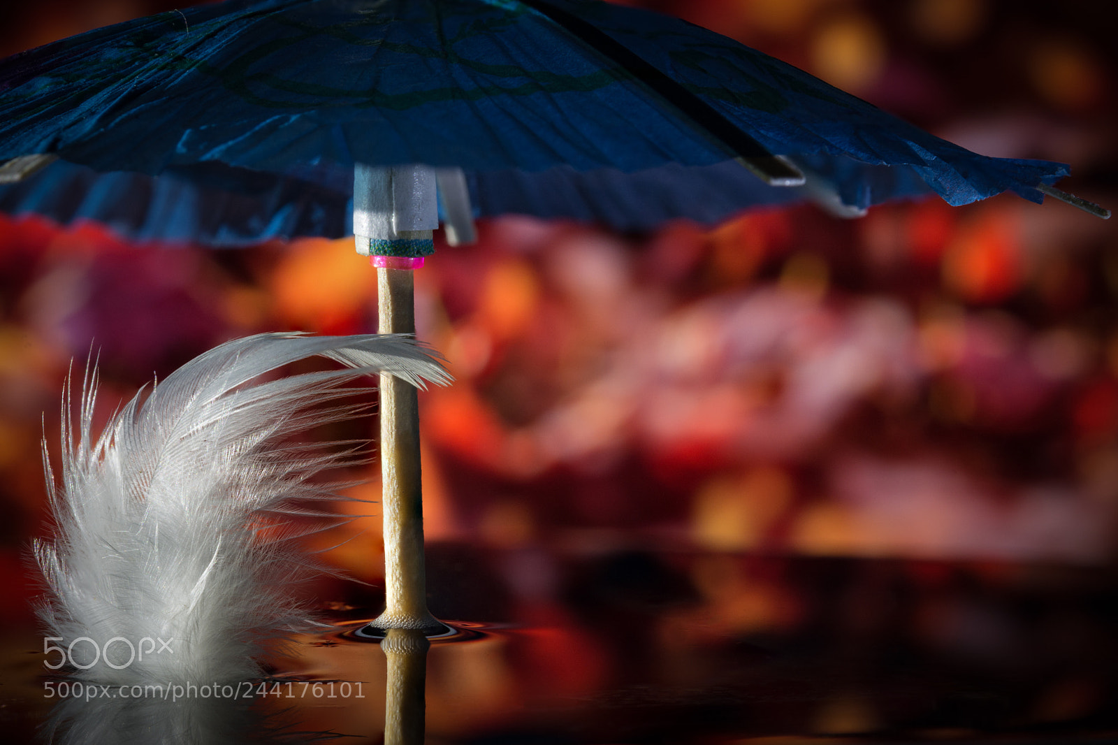 Nikon D7100 sample photo. Feather under the umbrella photography