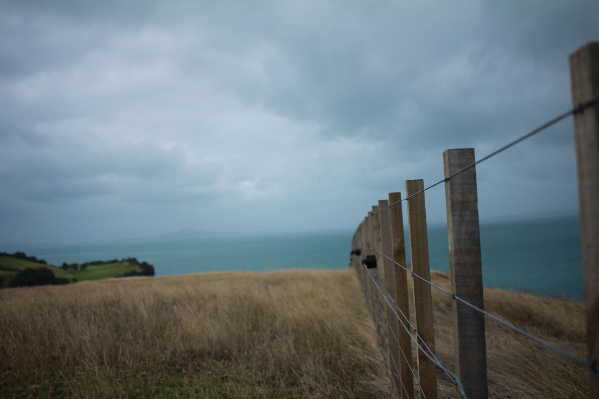 Canon EF-S 24mm F2.8 STM sample photo. Shakespear regional park photography