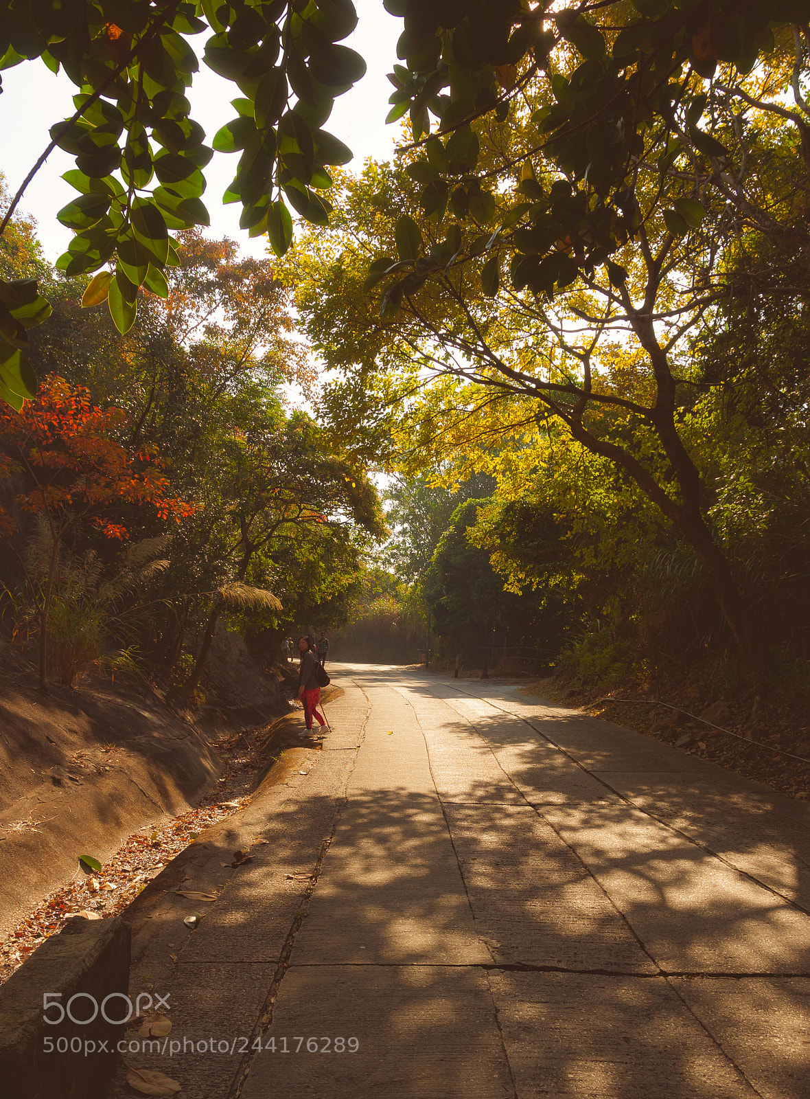 Nikon D300S sample photo. *** photography