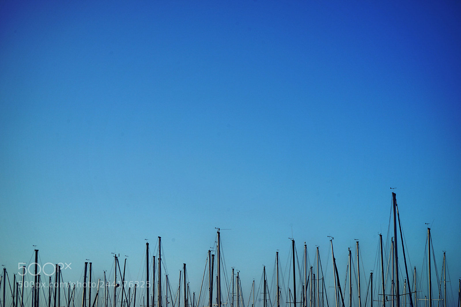 Sony a7 II sample photo. Sky with sticks photography