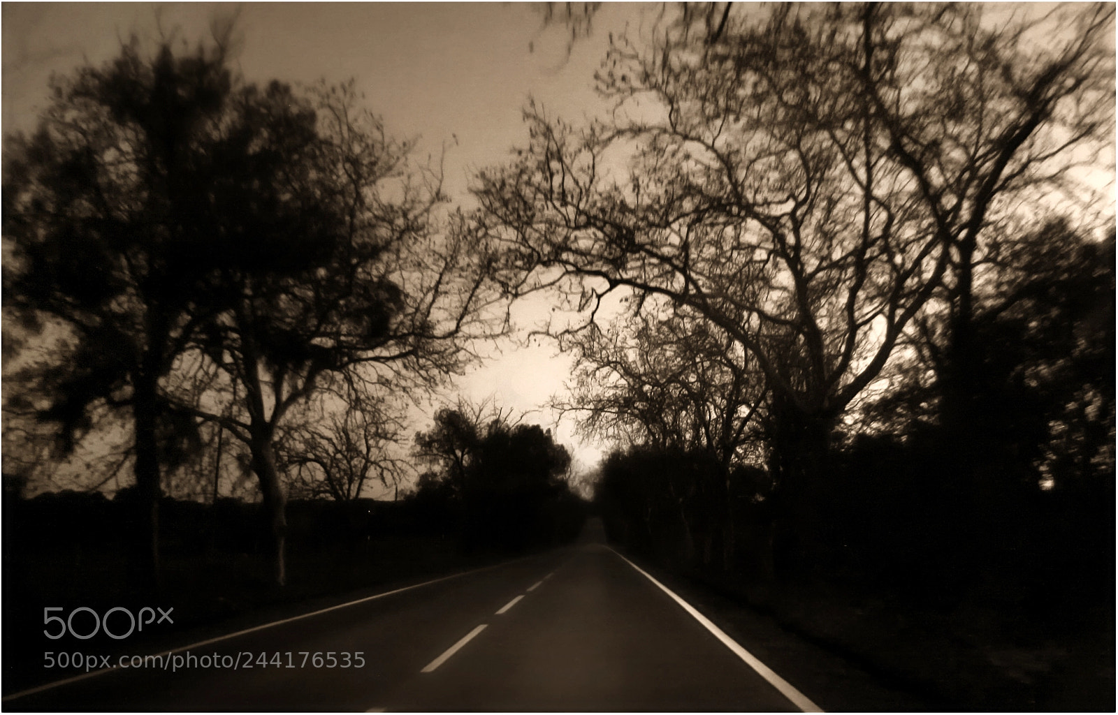 Canon EOS 1000D (EOS Digital Rebel XS / EOS Kiss F) sample photo. Night driving #3 photography