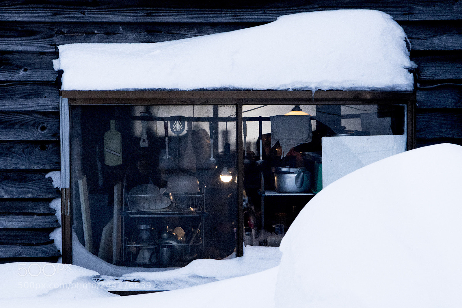 Pentax K-1 sample photo. Life in snow photography