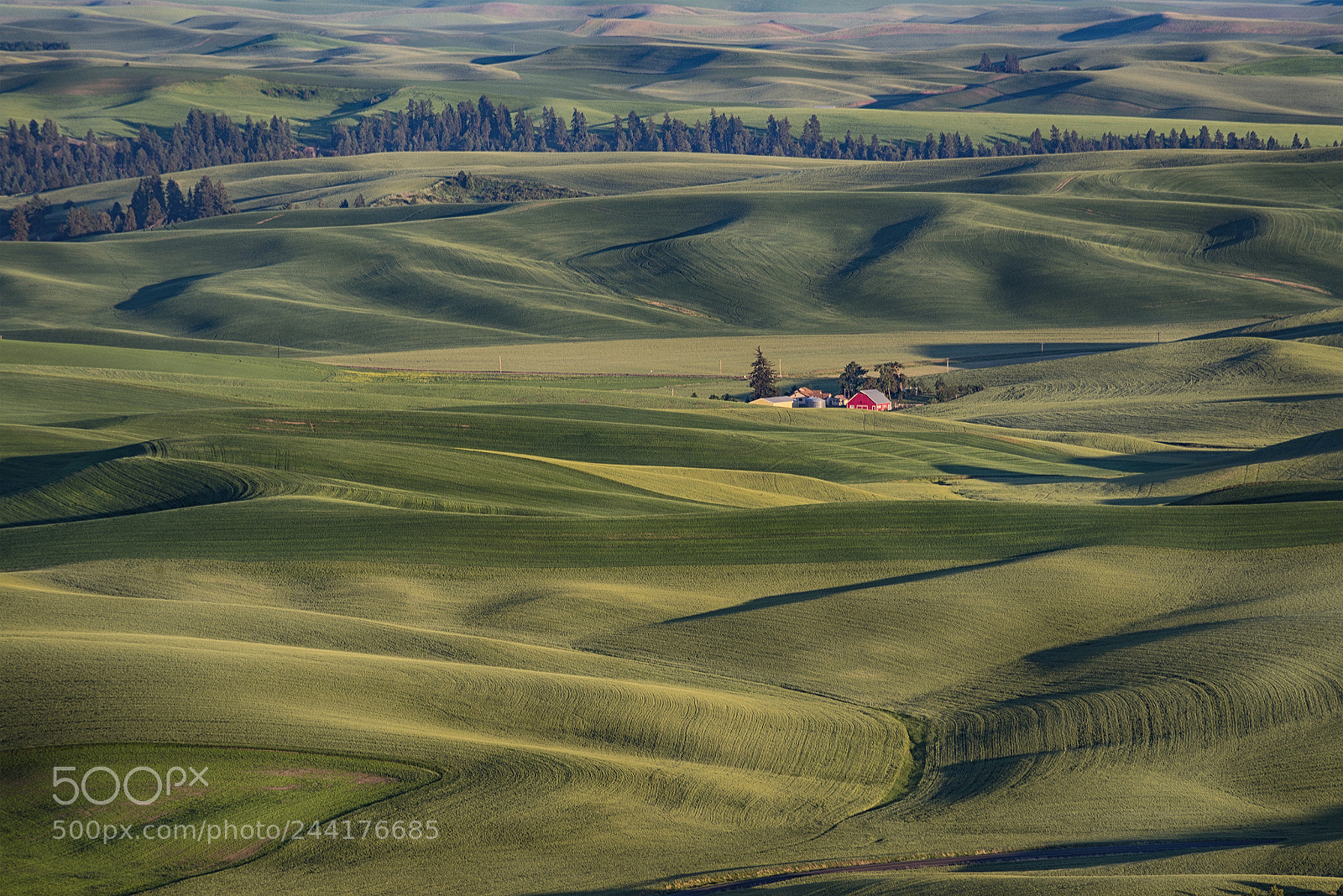 Nikon D610 sample photo. Palouse farm photography