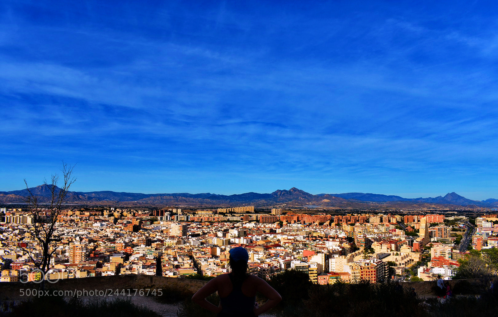 Nikon D3400 sample photo. Alicante photography