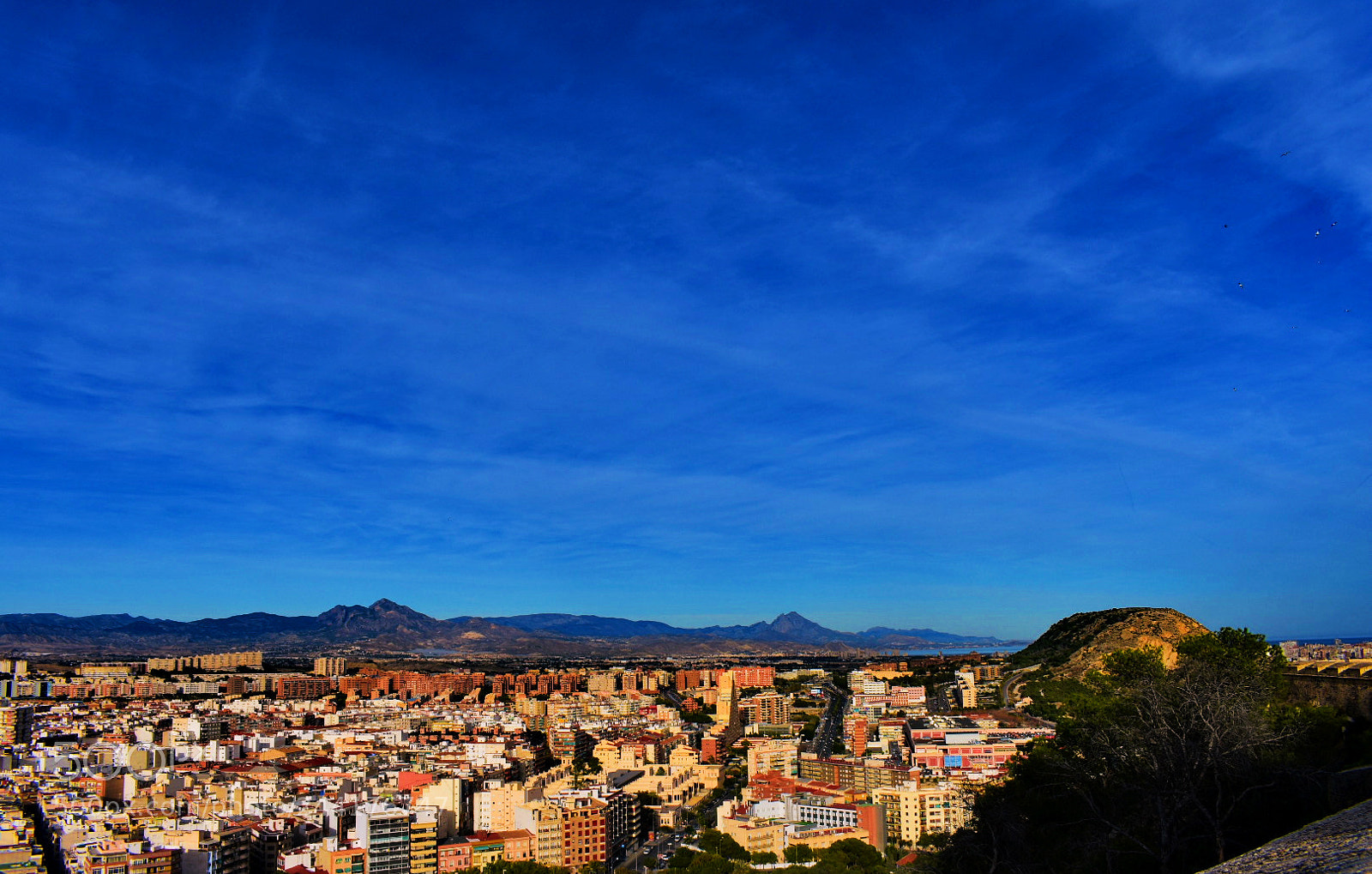 Nikon D3400 sample photo. Alicante photography