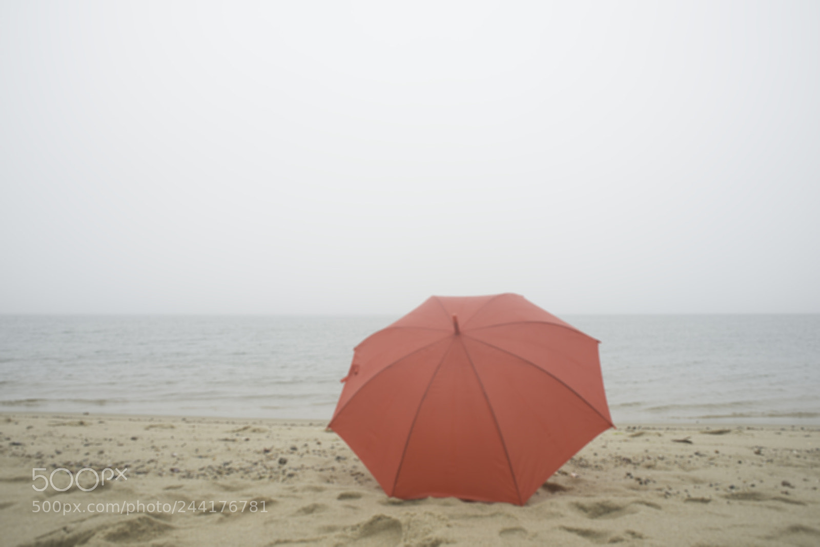 Nikon D800E sample photo. Out to see photography
