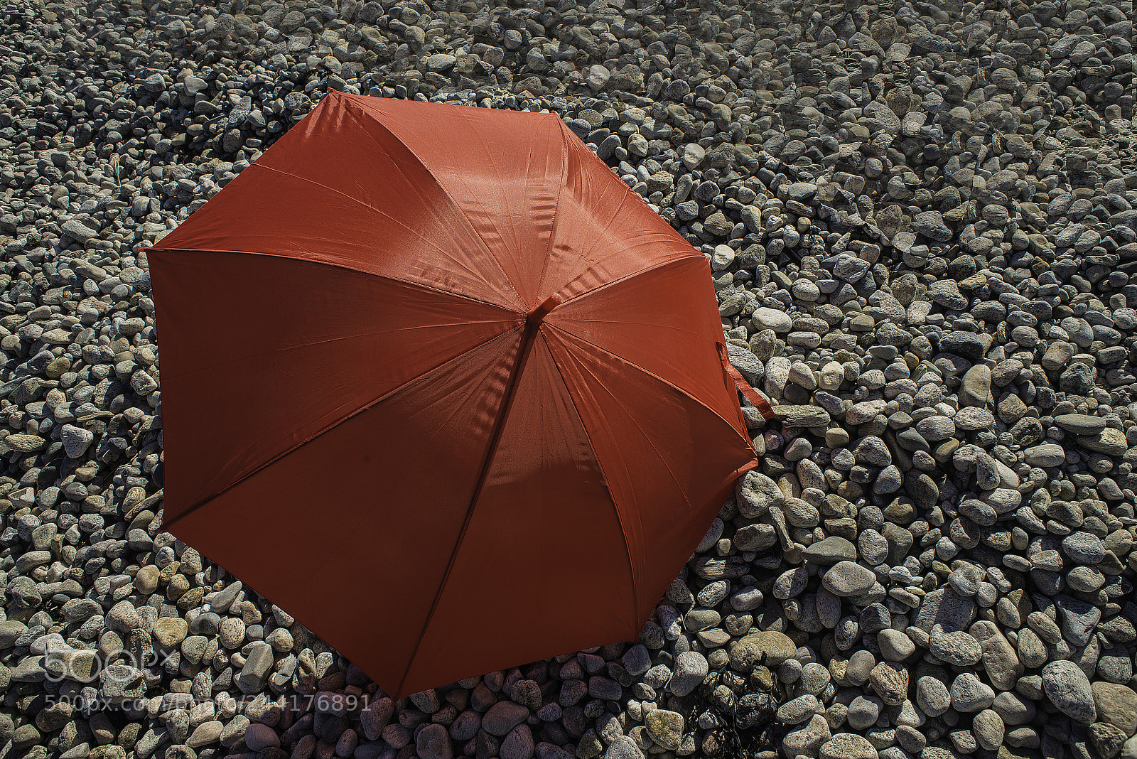 Nikon D800E sample photo. Red on rocks photography