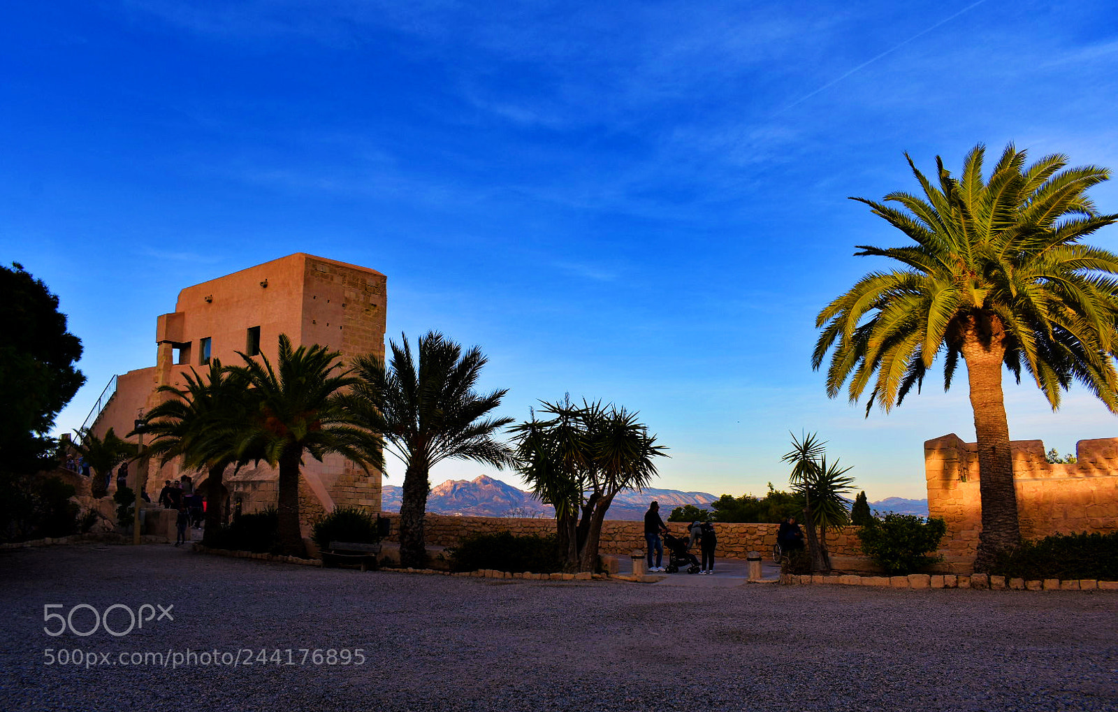 Nikon D3400 sample photo. Alicante photography