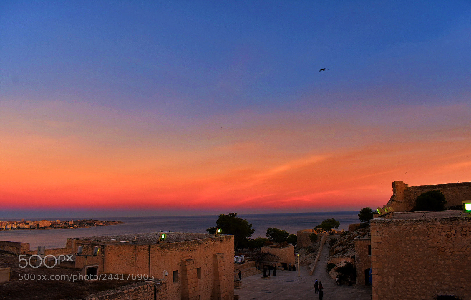 Nikon D3400 sample photo. Alicante photography