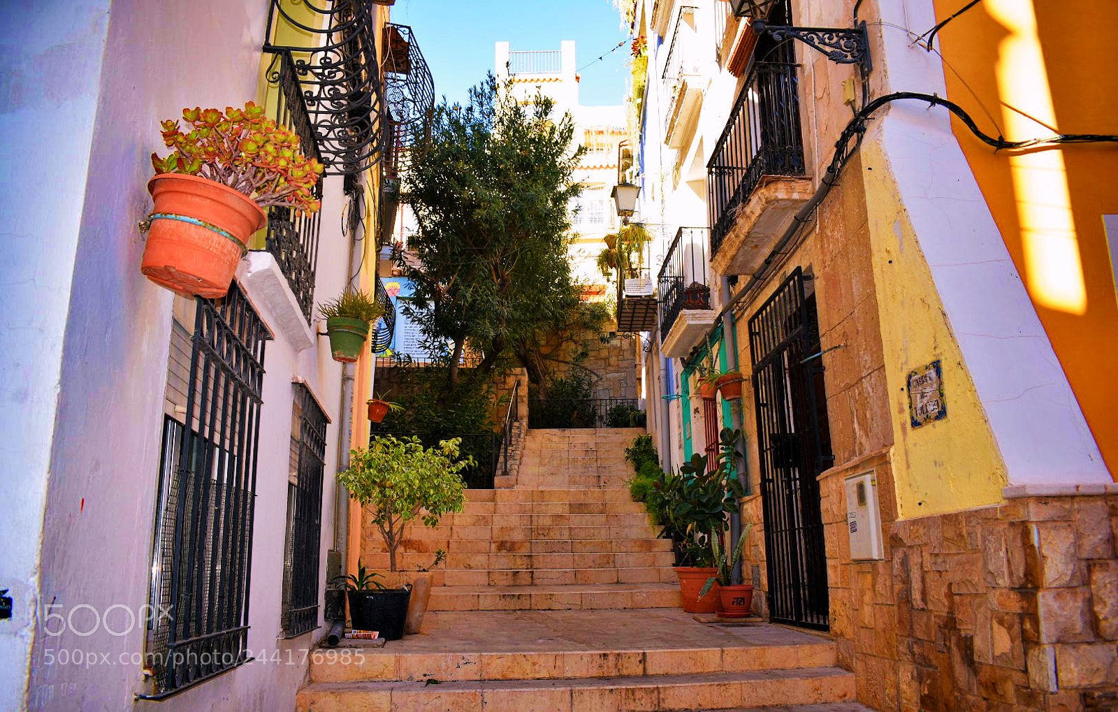 Nikon D3400 sample photo. Alicante photography