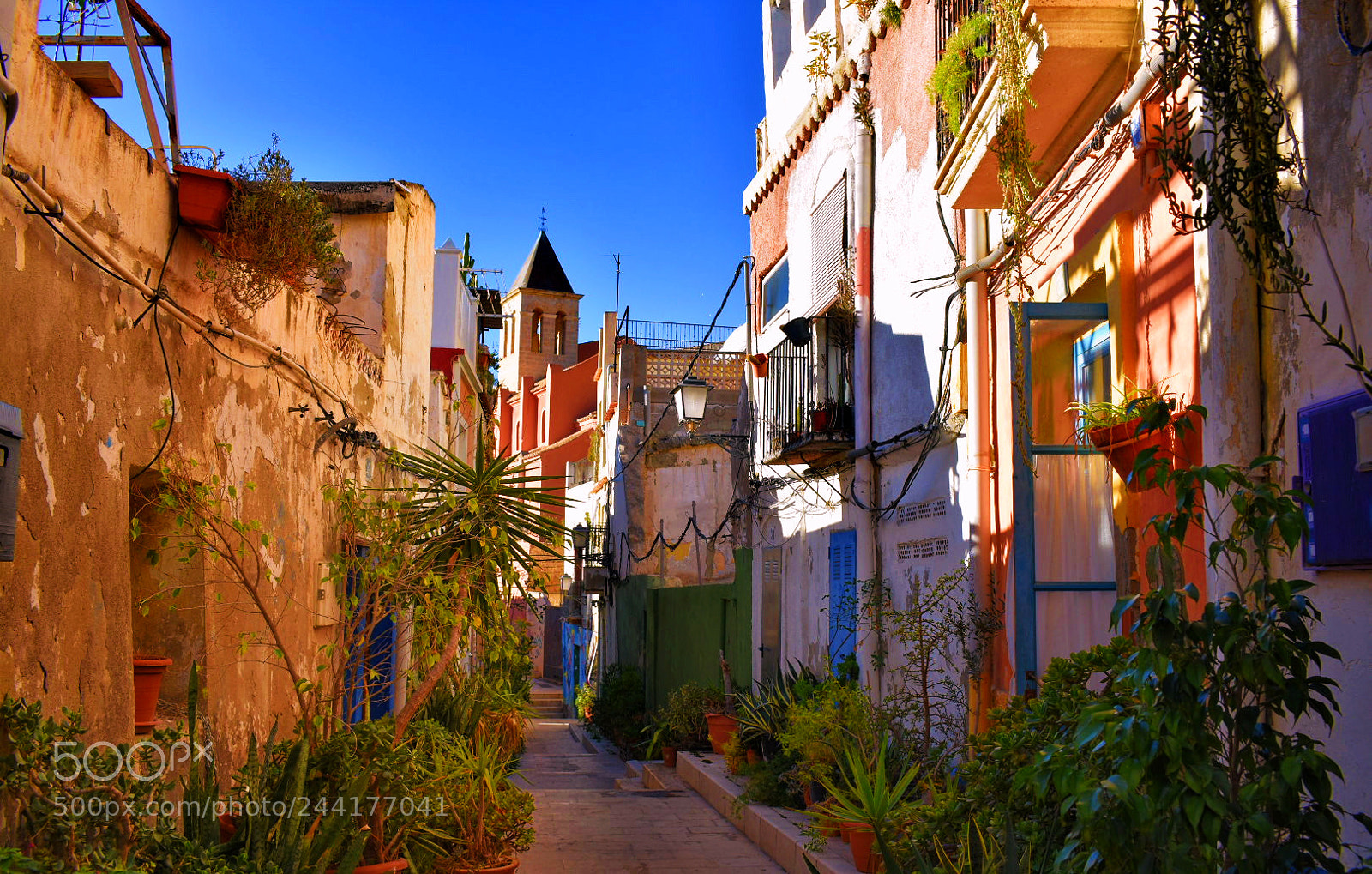Nikon D3400 sample photo. Alicante photography