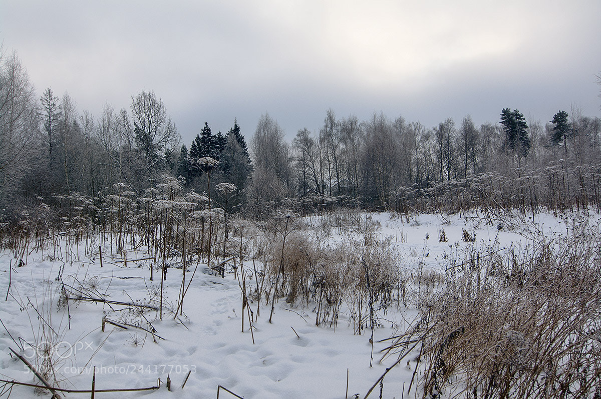 Pentax K-7 sample photo. Winter landscape. photography
