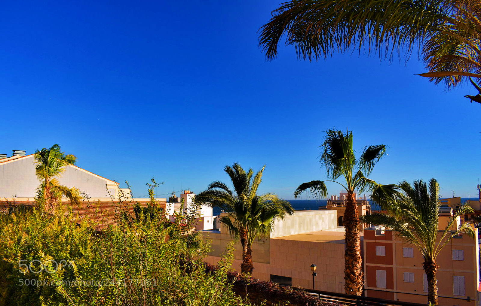 Nikon D3400 sample photo. Alicante photography