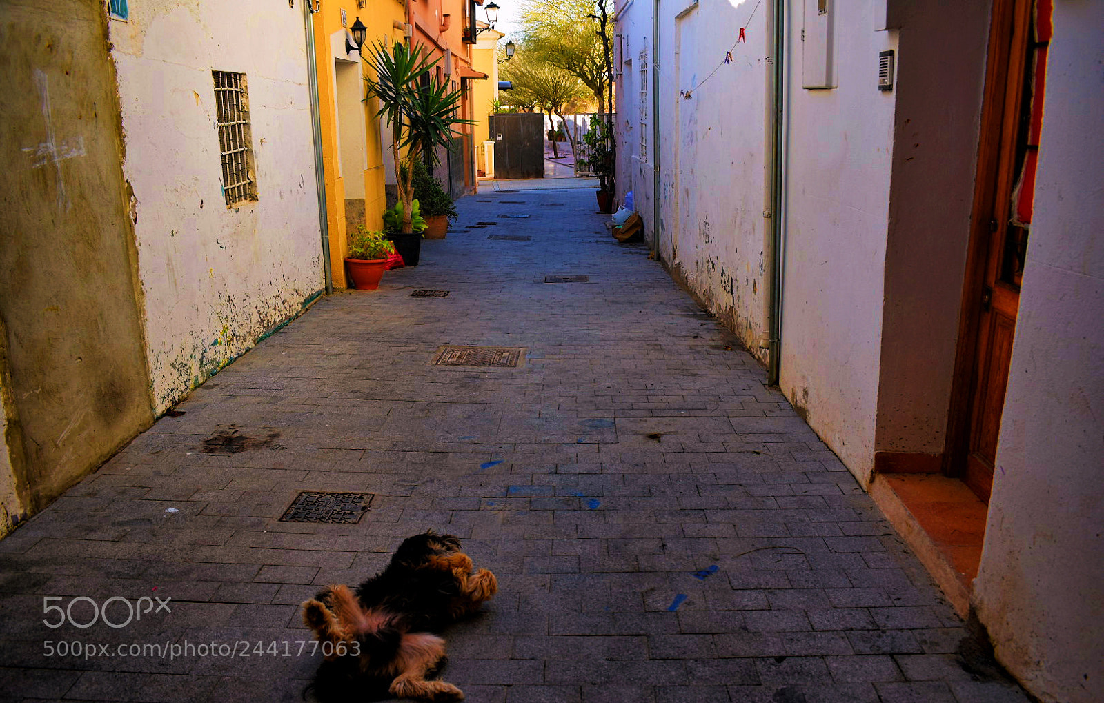 Nikon D3400 sample photo. Alicante photography