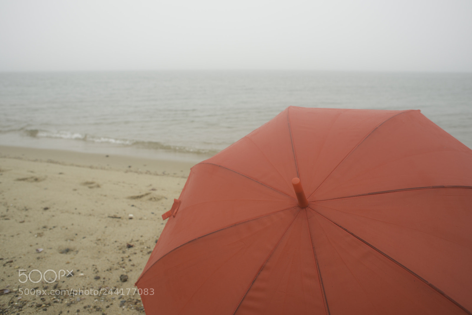 Nikon D800E sample photo. Umbrella looking out to photography