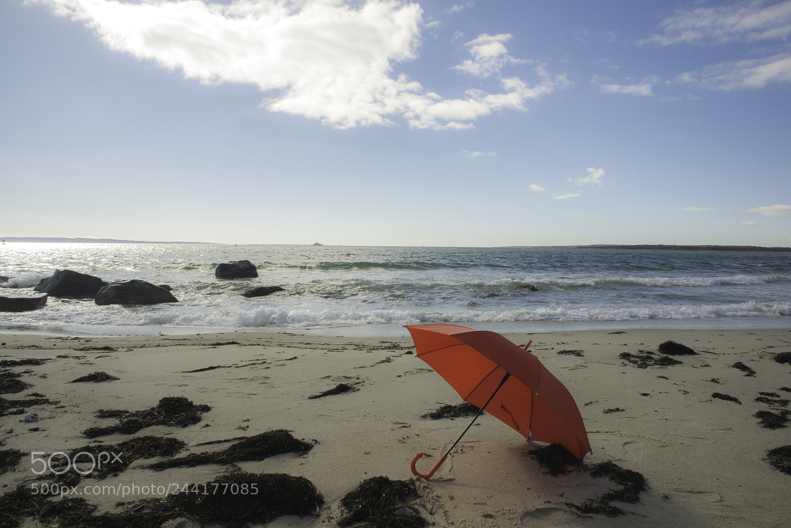 Nikon D800E sample photo. Sun block photography