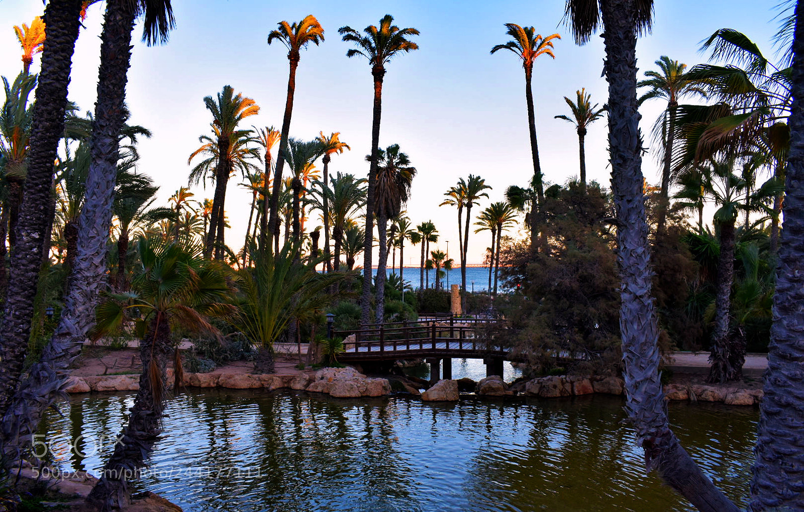 Nikon D3400 sample photo. Alicante photography