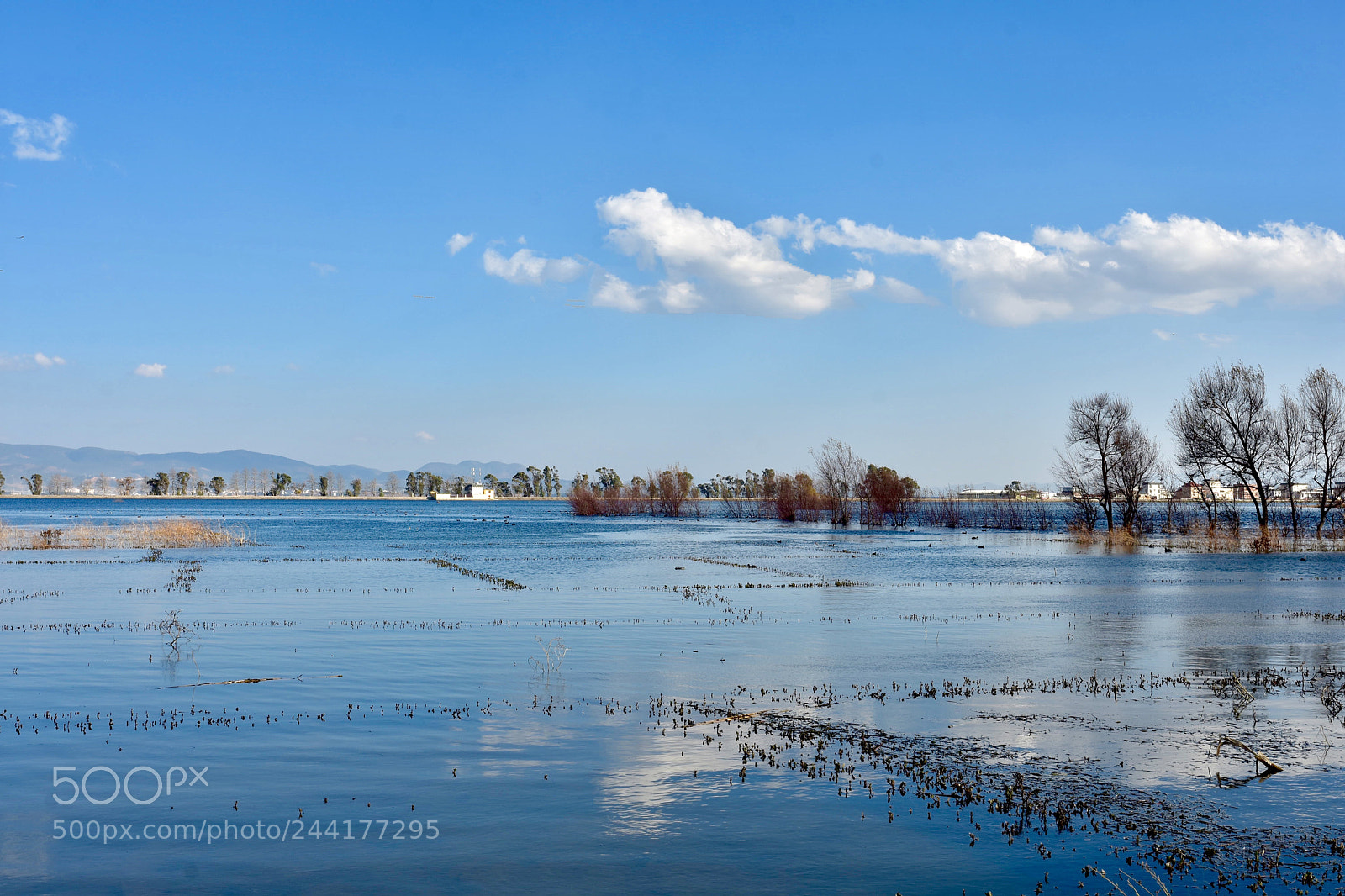 Nikon D7200 sample photo. Lake photography