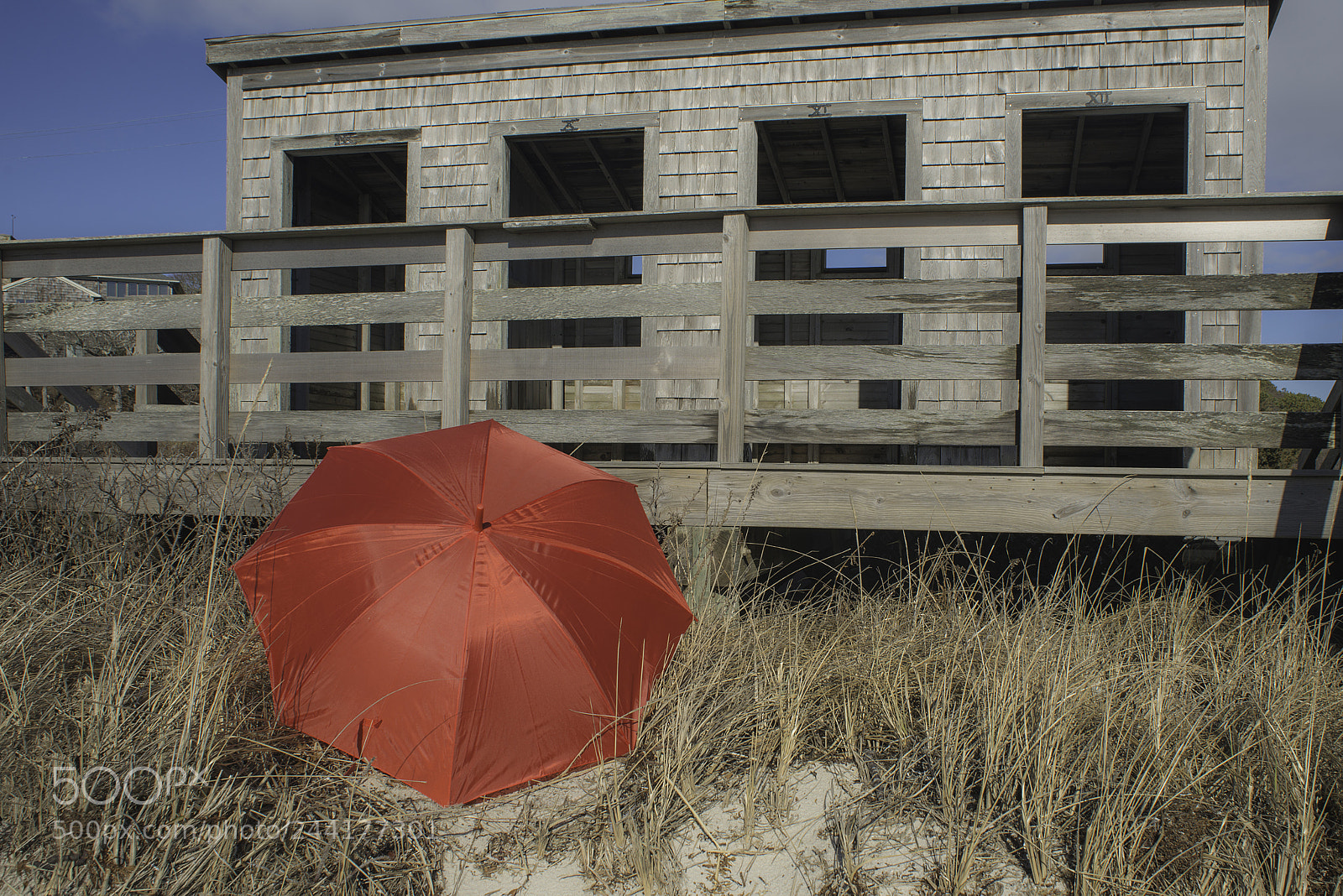 Nikon D800E sample photo. Time for a change photography