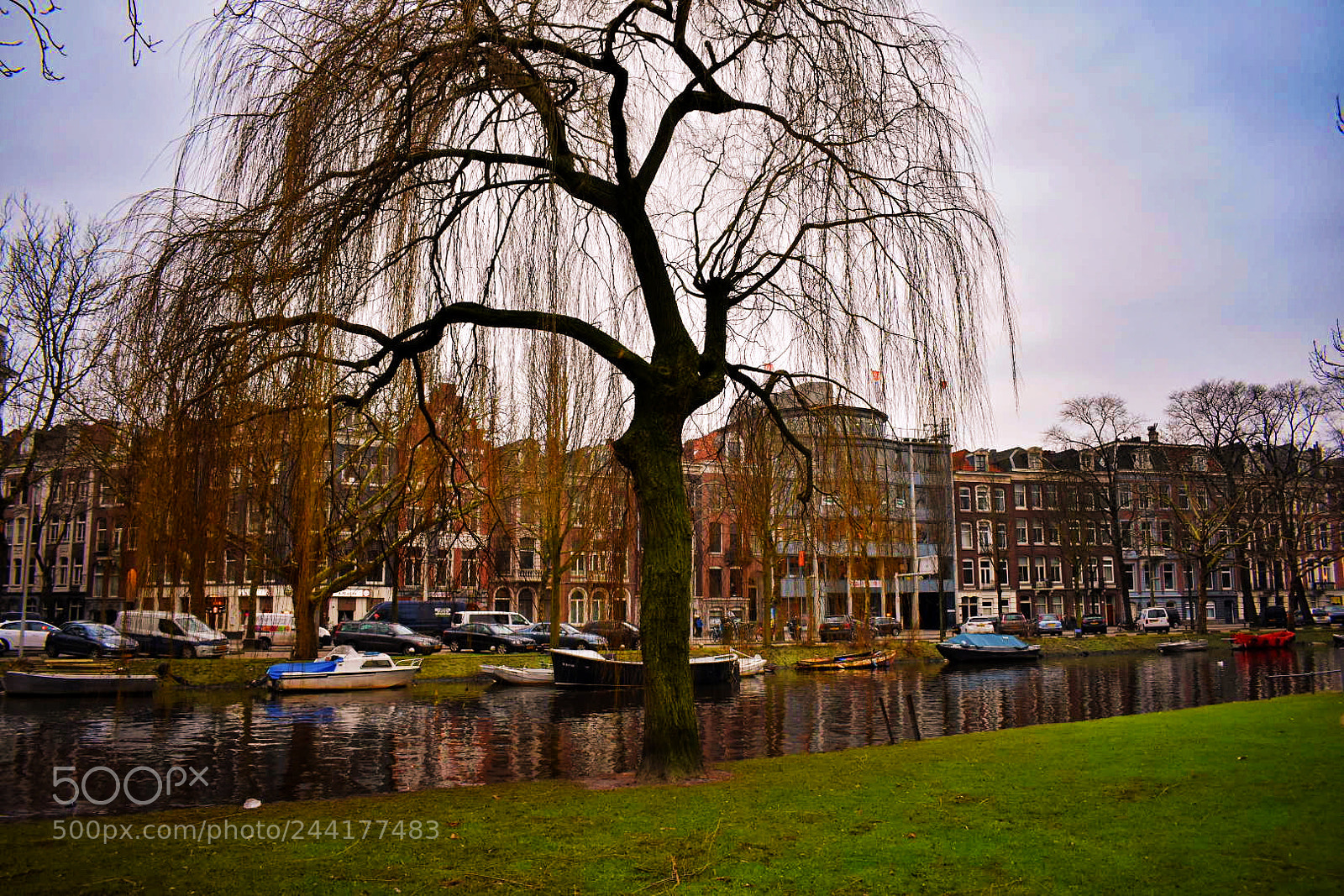 Nikon D3400 sample photo. Amsterdam photography
