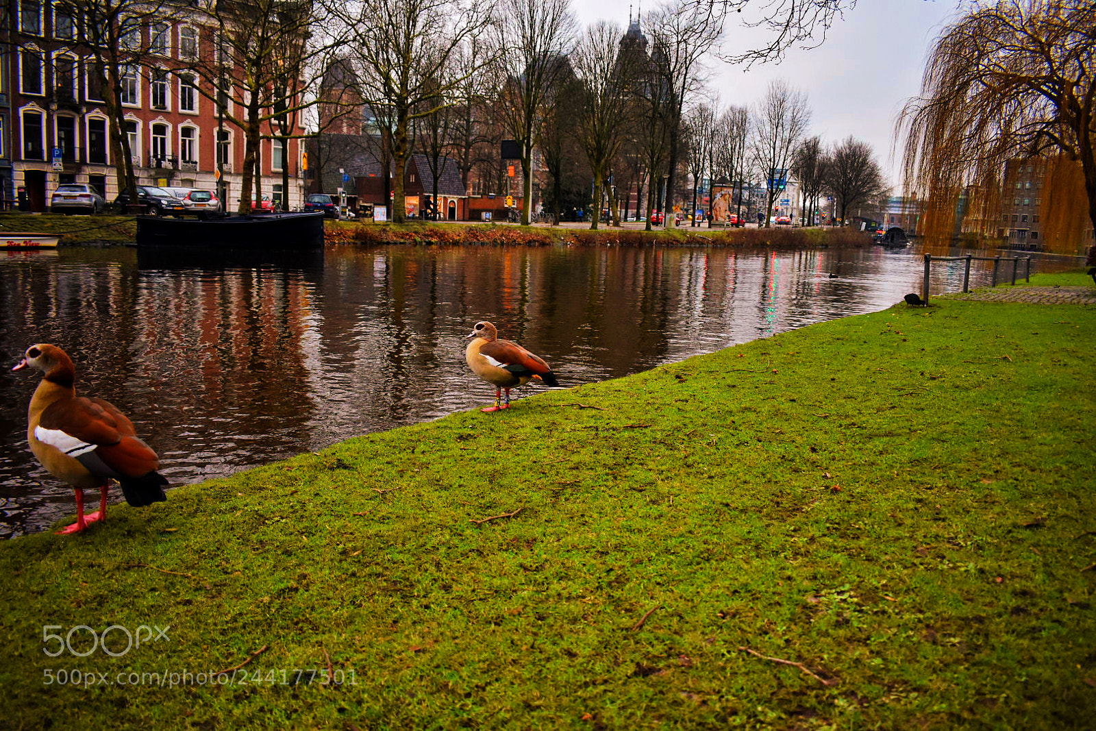 Nikon D3400 sample photo. Amsterdam photography