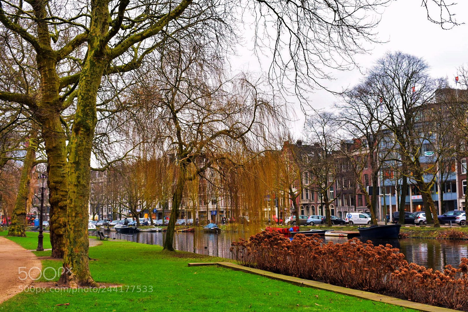 Nikon D3400 sample photo. Amsterdam photography